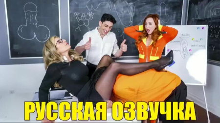 ���������� �������� �������� - �������